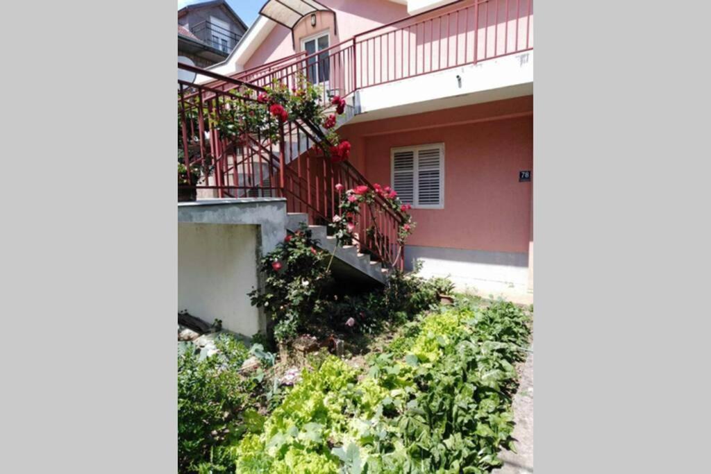 Apartman Danica Herceg Novi Esterno foto